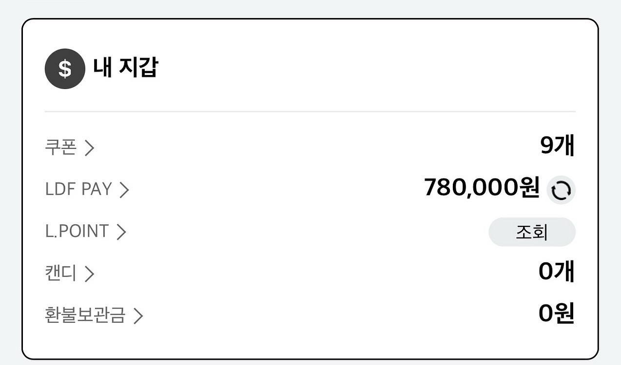 LDF PAY 78만원--0