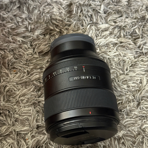 SEL85F14GM 85.4GM 85금