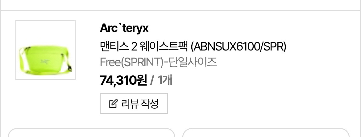 아크테릭스 멘티스2 웨이스트백--1
