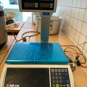 CAS ER PLUS 전자저울 판매합니다