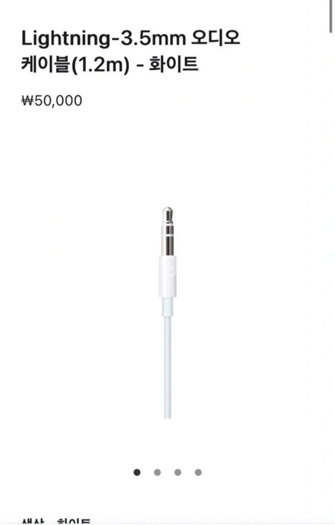 애플 라이트닝 3.5mm 오디오 케이블--2