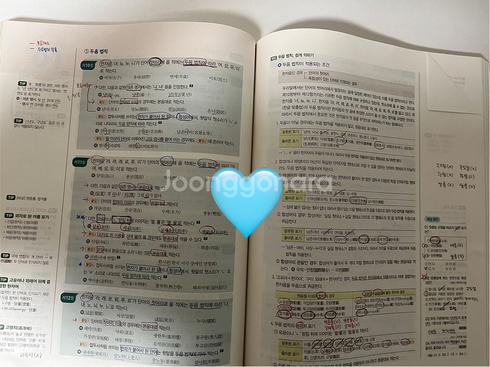 새책9급공무원2025독해알고리즘 선재국어수비니겨기본서--3