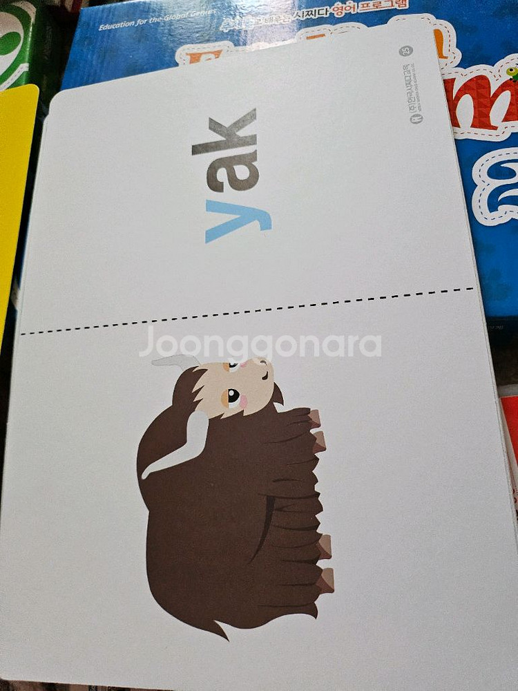 시쯔다카드 전집--9
