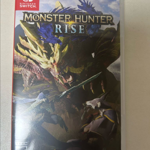 스위치 몬헌 라이즈 칩