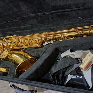 야마하 정품 YTS-62 테너 색소폰 이미지