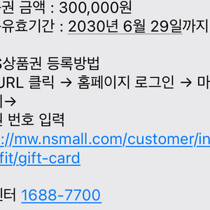 NS상품권 30만원권