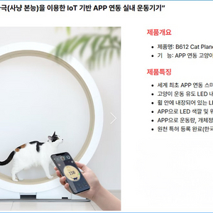 고양이캣휠 런닝머신 B612 캣플래닛