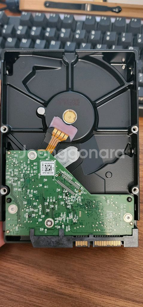 웨스턴디지탈 WD웬디 1TB HDD 하드디스크 Wd10--1