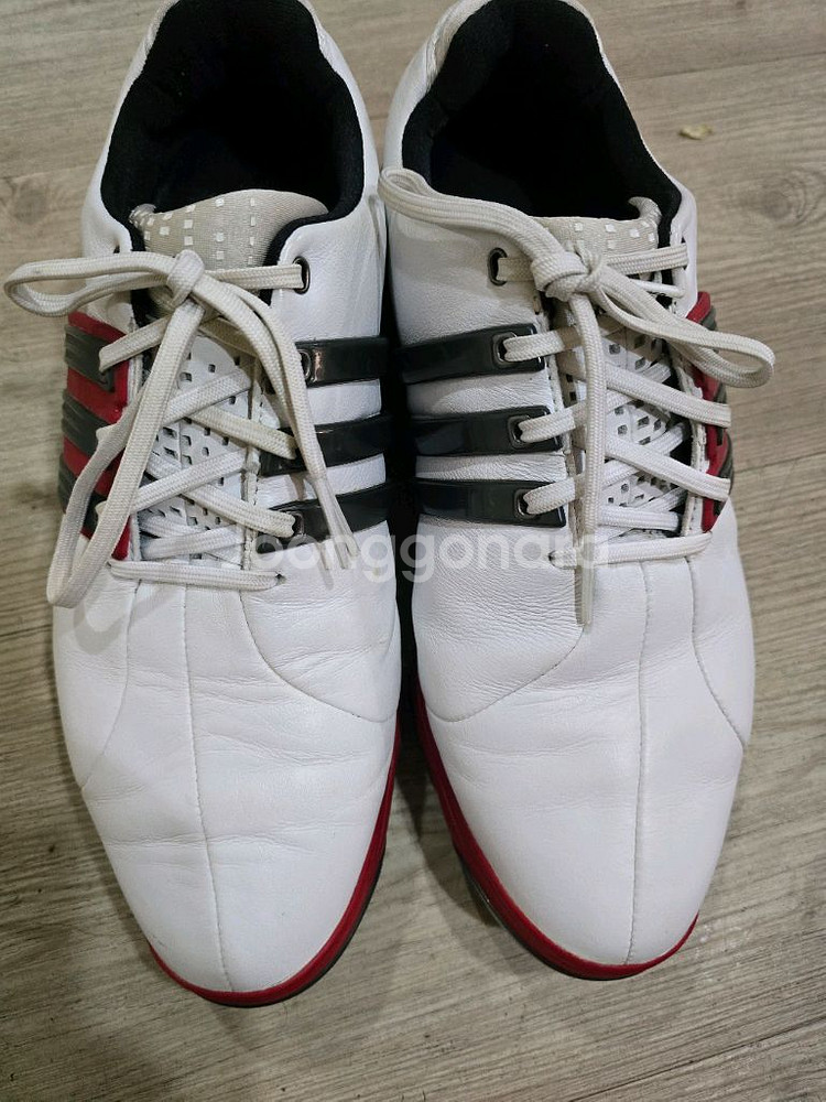 아디다스 골프 투어360 가죽골프화 255mm--1