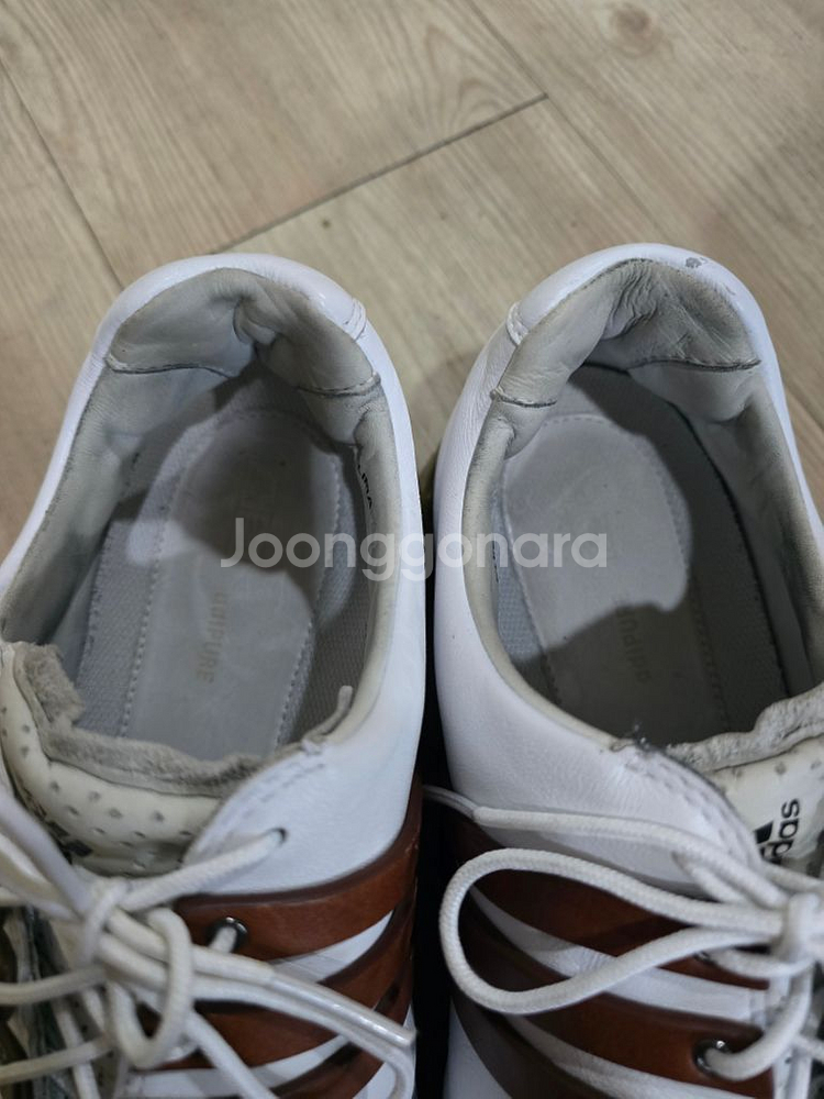 아디다스 골프 아디퓨어 가죽골프화 270mm--2