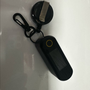 포켓몬고 브룩 오토캐치 캐리