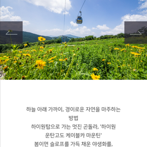 하이원 운탄고도 케이블카 곤돌라