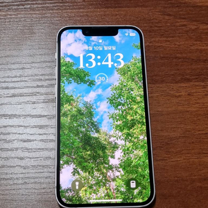 아이폰 13 미니 핑크 256gb