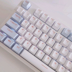 다얼유 A87 PRO 유무선 기계식 키보드