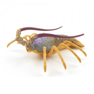 Lobster Crawfish 랍스터 바닷가재 R/C--0