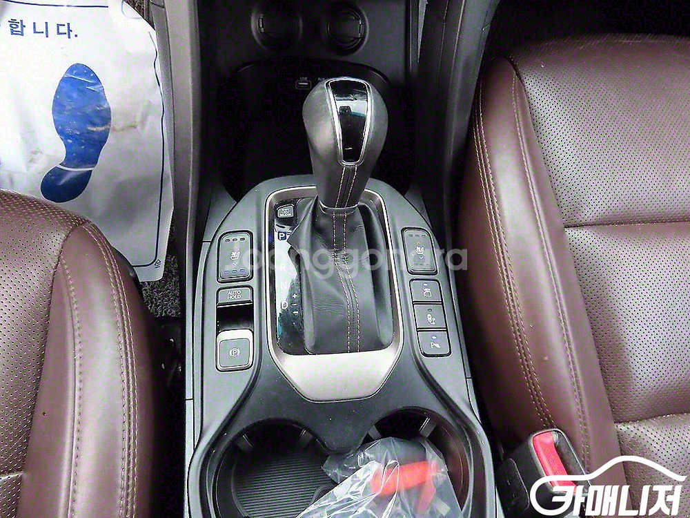[현대]더뉴맥스크루즈 E-VGT R2.2 4WD 파이니--9