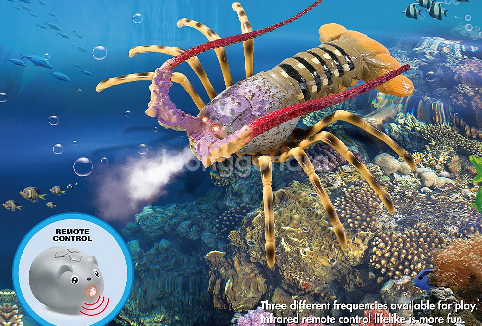 Lobster Crawfish 랍스터 바닷가재 R/C--1