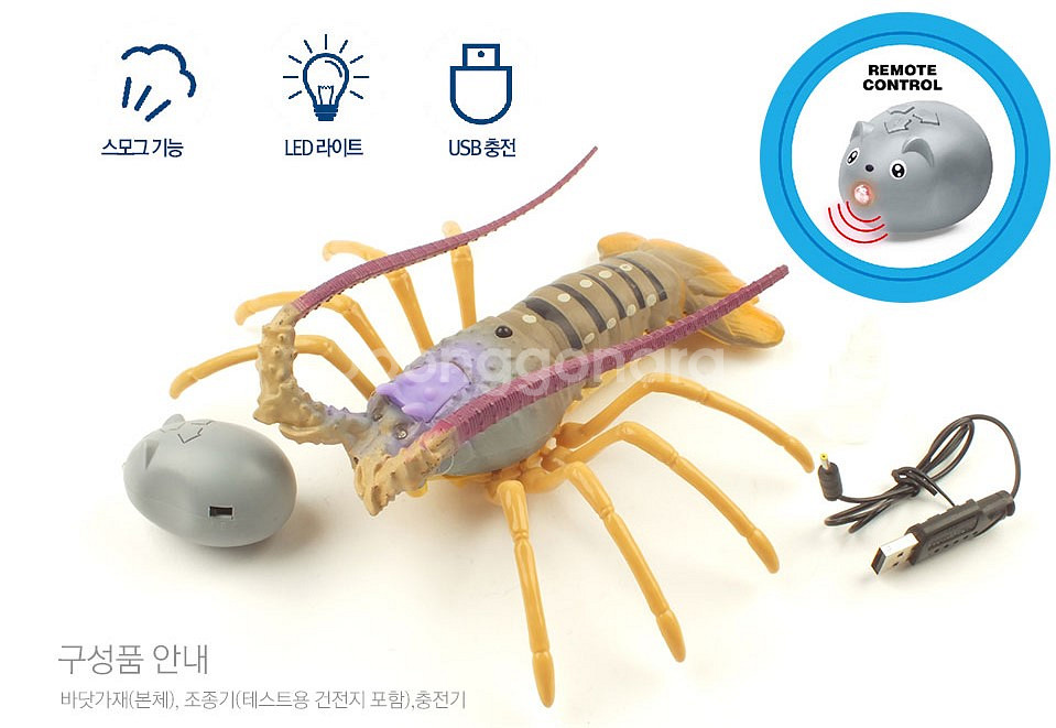 Lobster Crawfish 랍스터 바닷가재 R/C--2