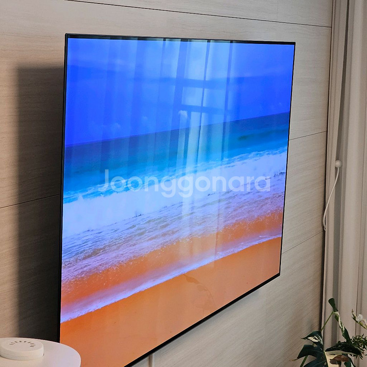 LG 65인치 OLED 벽걸이 TV--1