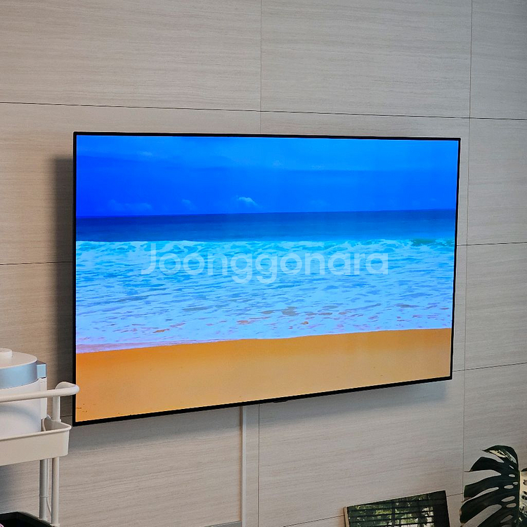 LG 65인치 OLED 벽걸이 TV--0