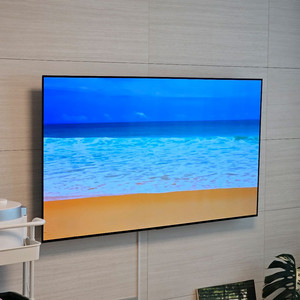 LG 65인치 OLED 벽걸이 TV