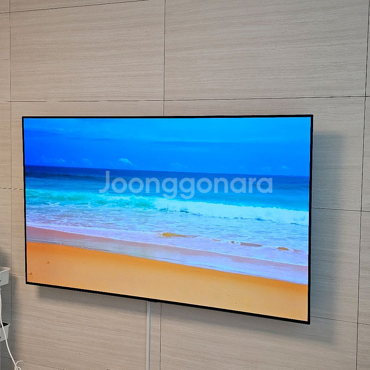 LG 65인치 OLED 벽걸이 TV--3