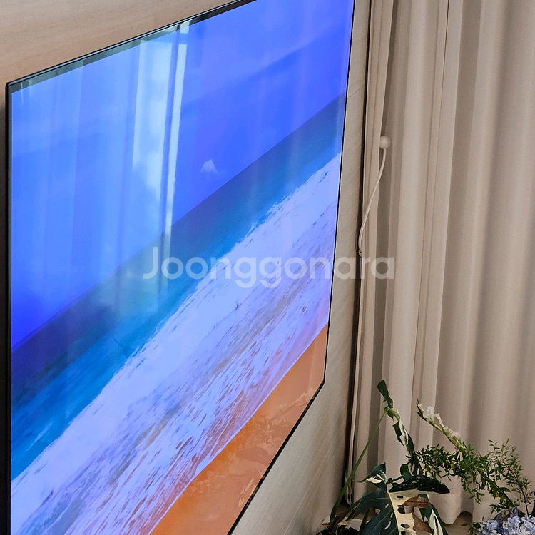 LG 65인치 OLED 벽걸이 TV--2