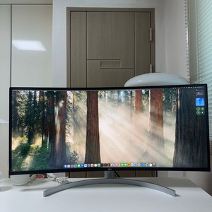 LG 울트라 와이드 모니터 38wn95c 21년 1월