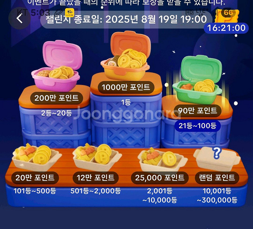 틱톡라이트 야시장--0