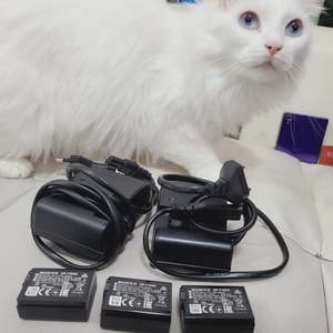Rx1r3 소니 정품 FW50 배터리 A6400 NP