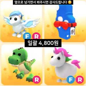 입양하세요 펫들 다양한 세트 판매