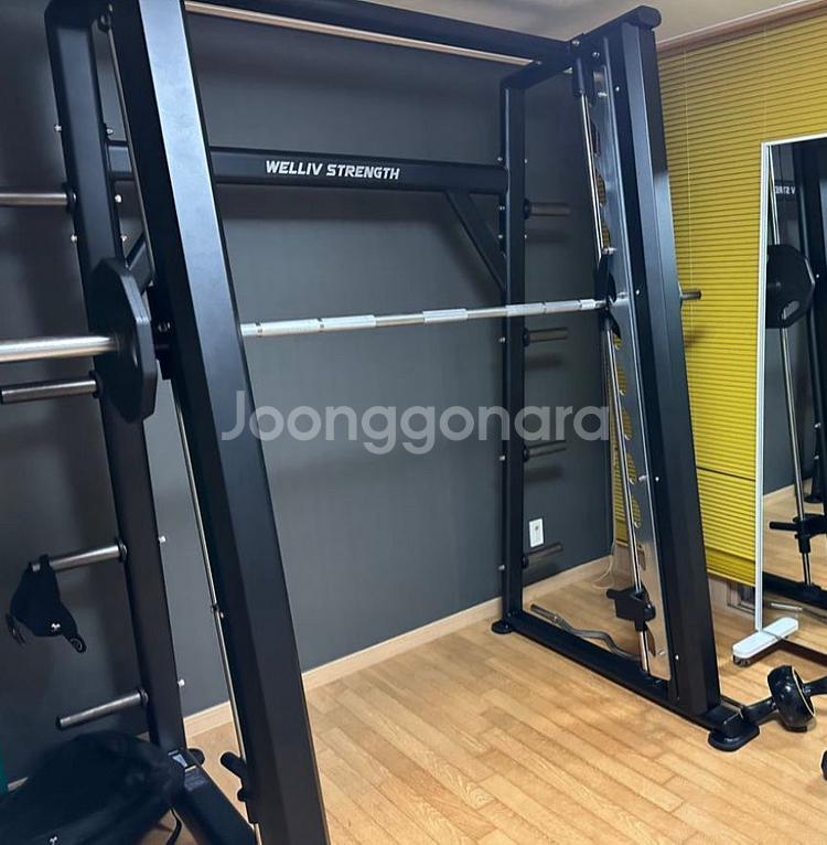 디랙스 스미스머신 + 바벨 105kg--0
