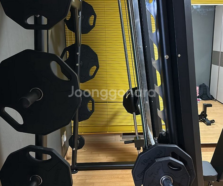 디랙스 스미스머신 + 바벨 105kg--1