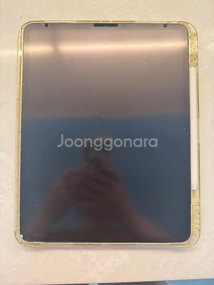 아이패드프로 4세대 12.9형 (12.9인치) 256G--4