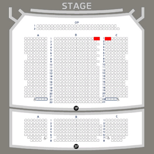최재림 콘서트 밤공 VIP 1층 B,C구역 1열 양도