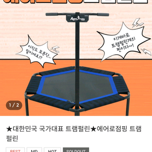 에어로점핑 트램펄린(전문가용) 팝니다.