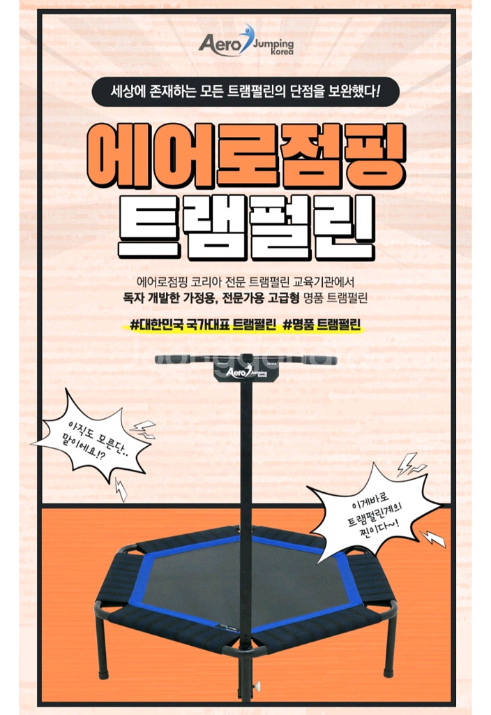 에어로점핑 트램펄린(전문가용) 팝니다.--1