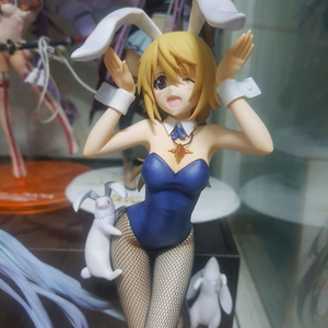 코토부키야 샤를로트 듀노아 바니걸