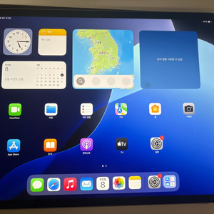 iPad Pro 12.9인치 6세대 256GB