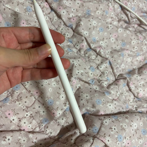 애플펜슬2세대