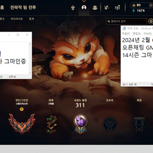 리그오브레전드 롤 LOL 맡김 강의 듀오 전문 GM강사