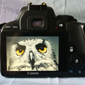 캐논 EOS 100D DSLR 카메라 + 1855렌즈