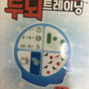 닌텐도 칩 매일매일 두뇌트레이닝