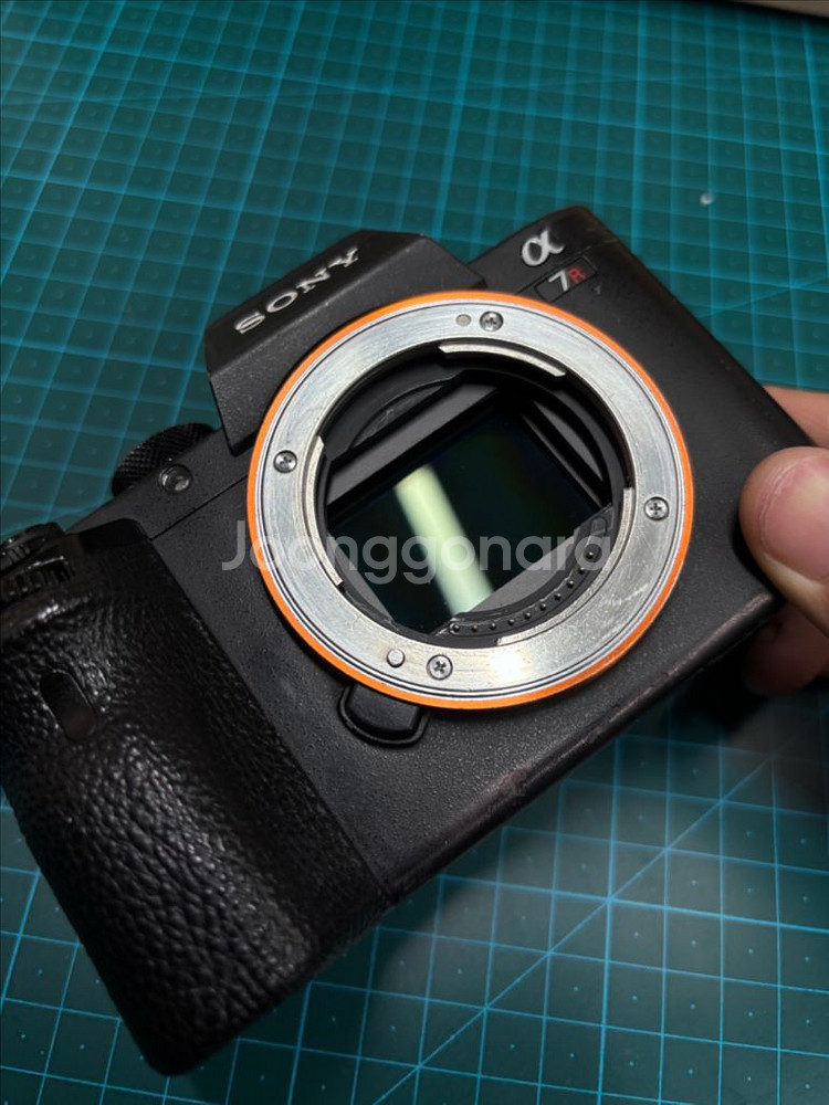 소니 A7R2--0