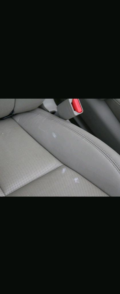 올뉴카니발 리무진 2열 시트 이미지