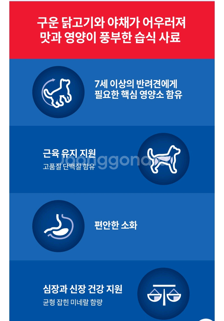 강아지 힐스 어덜트 7+ 40캔 7세이상 습식사료 노견--5
