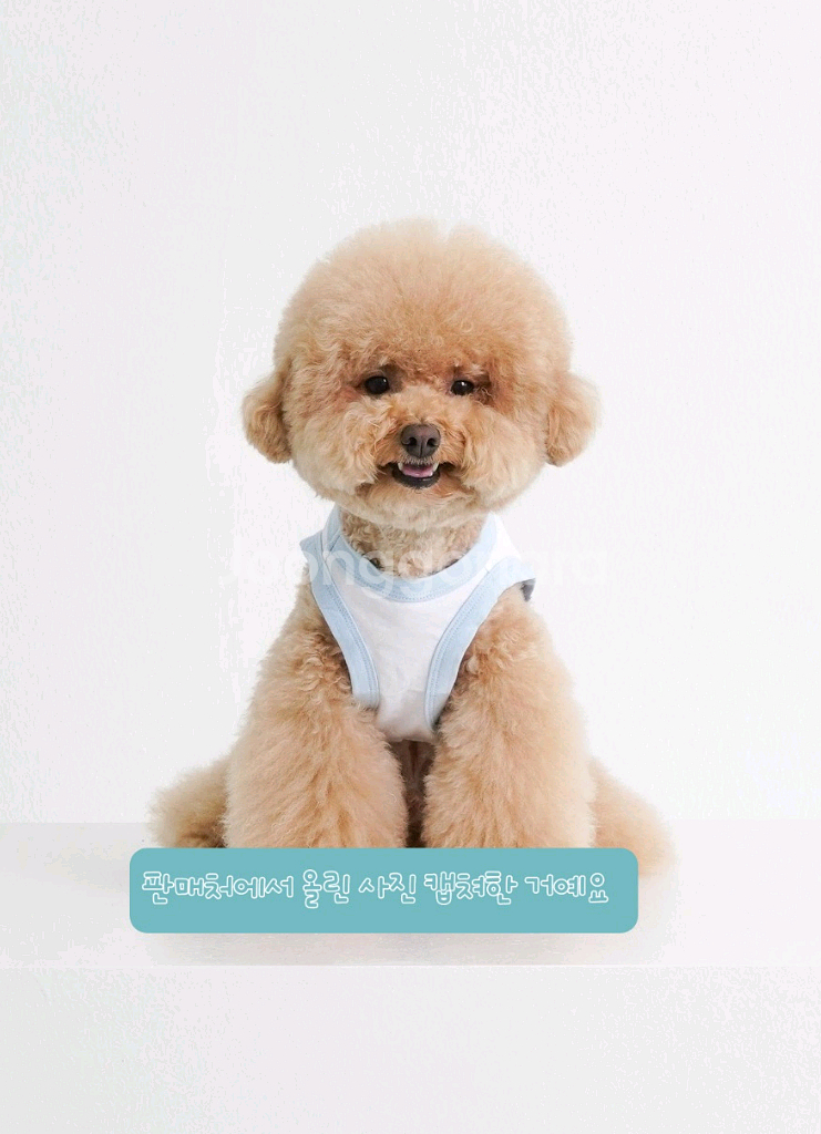 강아지 크롭티 (소형견) 여름 옷 티셔츠 나시 민소매--2