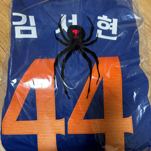 한화이글스 썸니폼 100 김서현 마킹