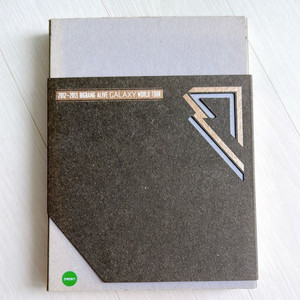 2013 빅뱅 ALIVE 갤럭시 투어 DVD 비매
