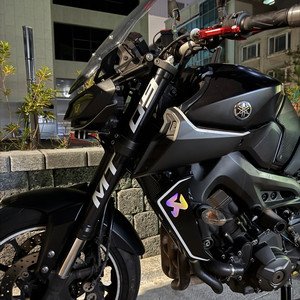 mt09